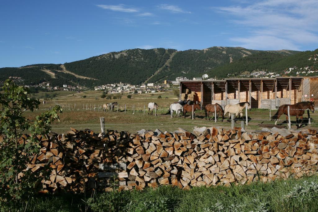 Gite Equisud - Demi-Pension Inclus Les Angles  Exterior photo