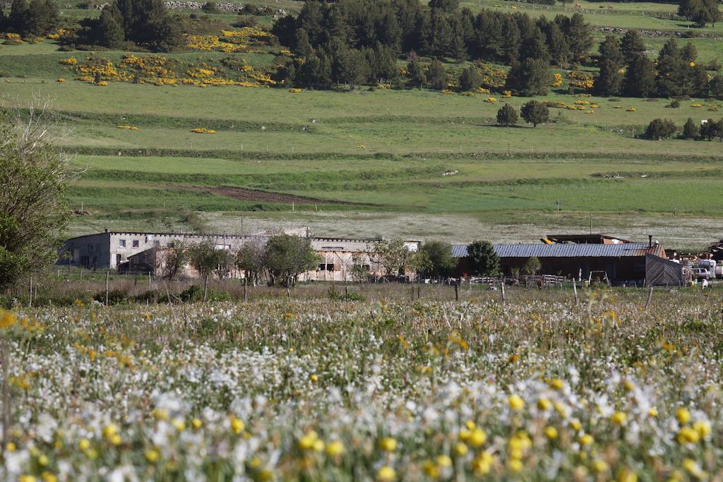 Gite Equisud - Demi-Pension Inclus Les Angles  Exterior photo