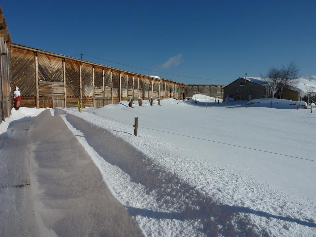 Gite Equisud - Demi-Pension Inclus Les Angles  Exterior photo