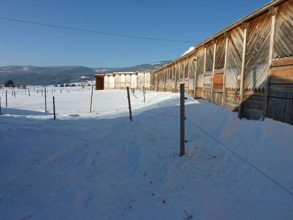 Gite Equisud - Demi-Pension Inclus Les Angles  Exterior photo